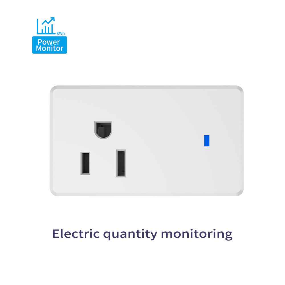 Smart WiFi Socket - US Plug with Timer Switch & Voice Control