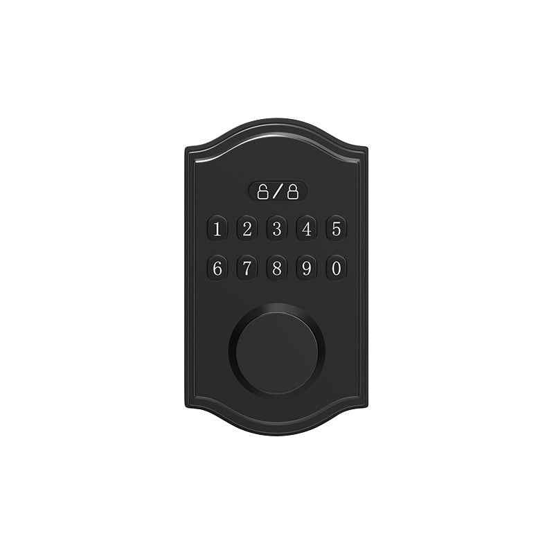 Smart Deadbolt Lock - American Standard WiFi Bluetooth Fingerprint