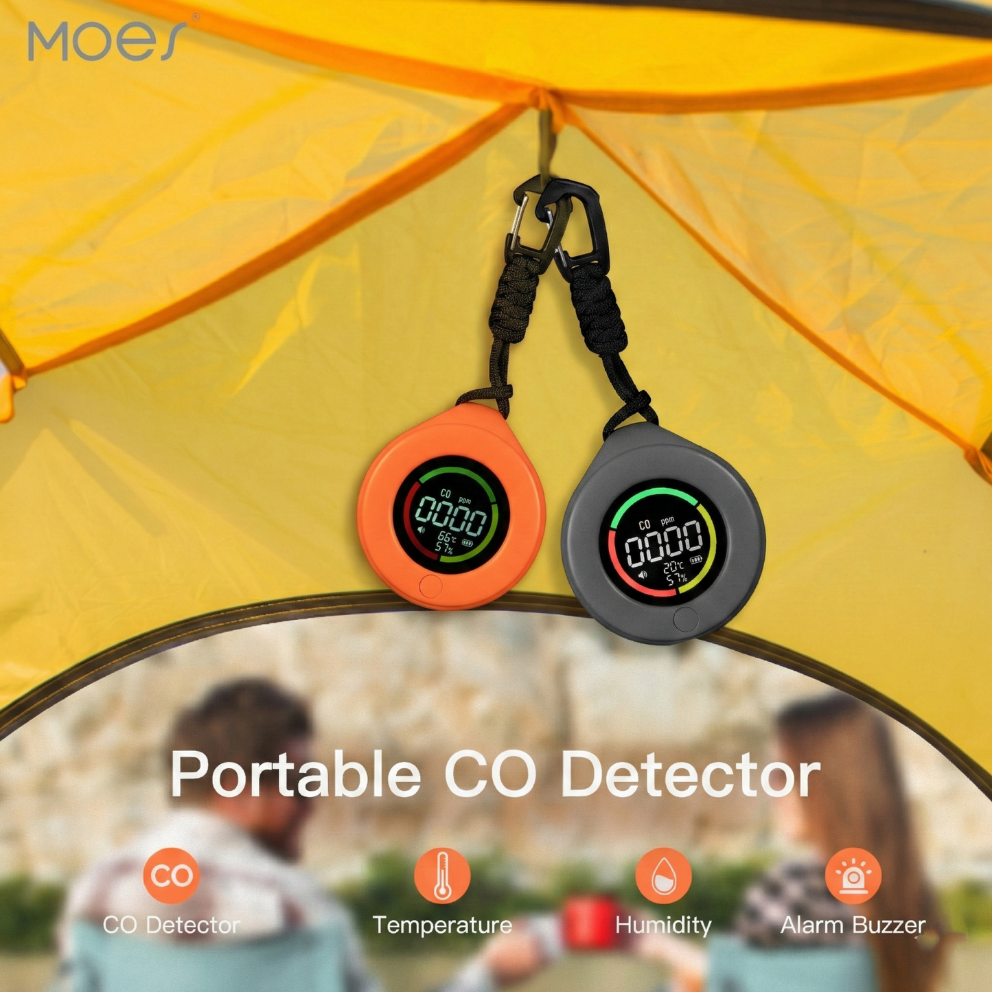 Carbon Monoxide Detector