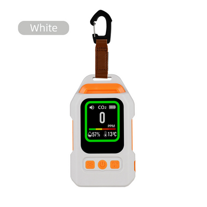 Carbon Monoxide Detector