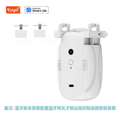 Smart Curtain Motor - Electric Curtain Motor with Tuya APP Remote Control