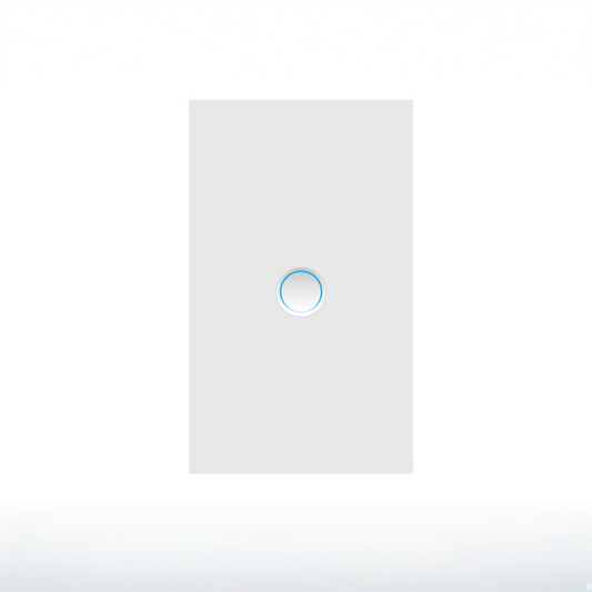 Matter Smart Switch - DS 10B1-WN