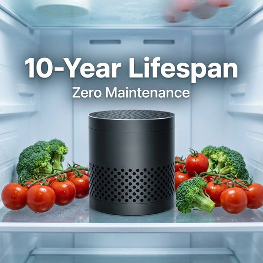 Refrigerator Deodorizer & Odor Eliminator | Lasts 10 Years | For Fridge, Car & Closet - Black