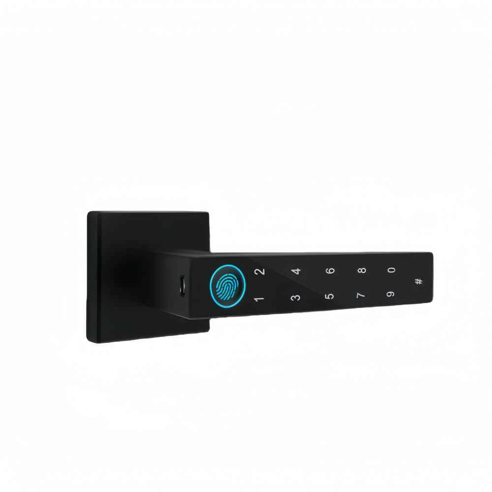 Smart Fingerprint Lock - WiFi Door Lock for Wooden Doors & Bedrooms