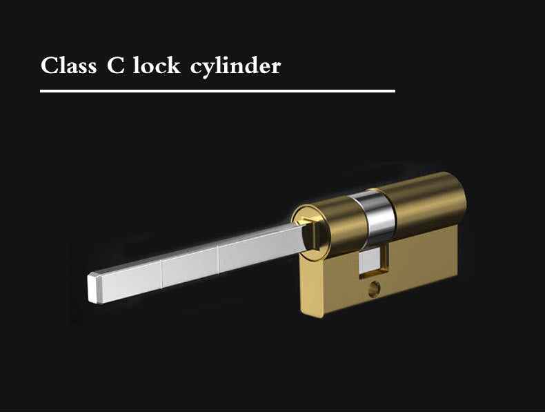 Smart Door Lock - Video Intercom Peephole with Face Recognition & Palm Vein