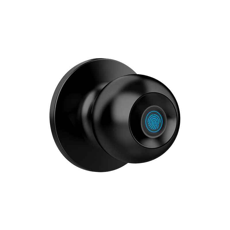 Smart Ball Lock - Bluetooth Fingerprint Lock with Remote Management