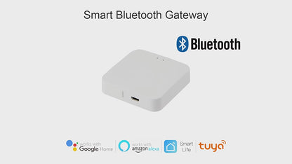 Wireless Smart Gateway - ZigBee Bluetooth Multi-Mode Hub for Smart Home