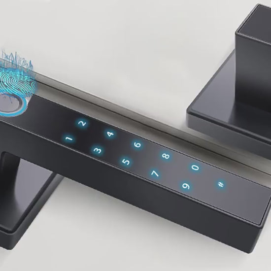 Password Fingerprint Door Lock Smart Home