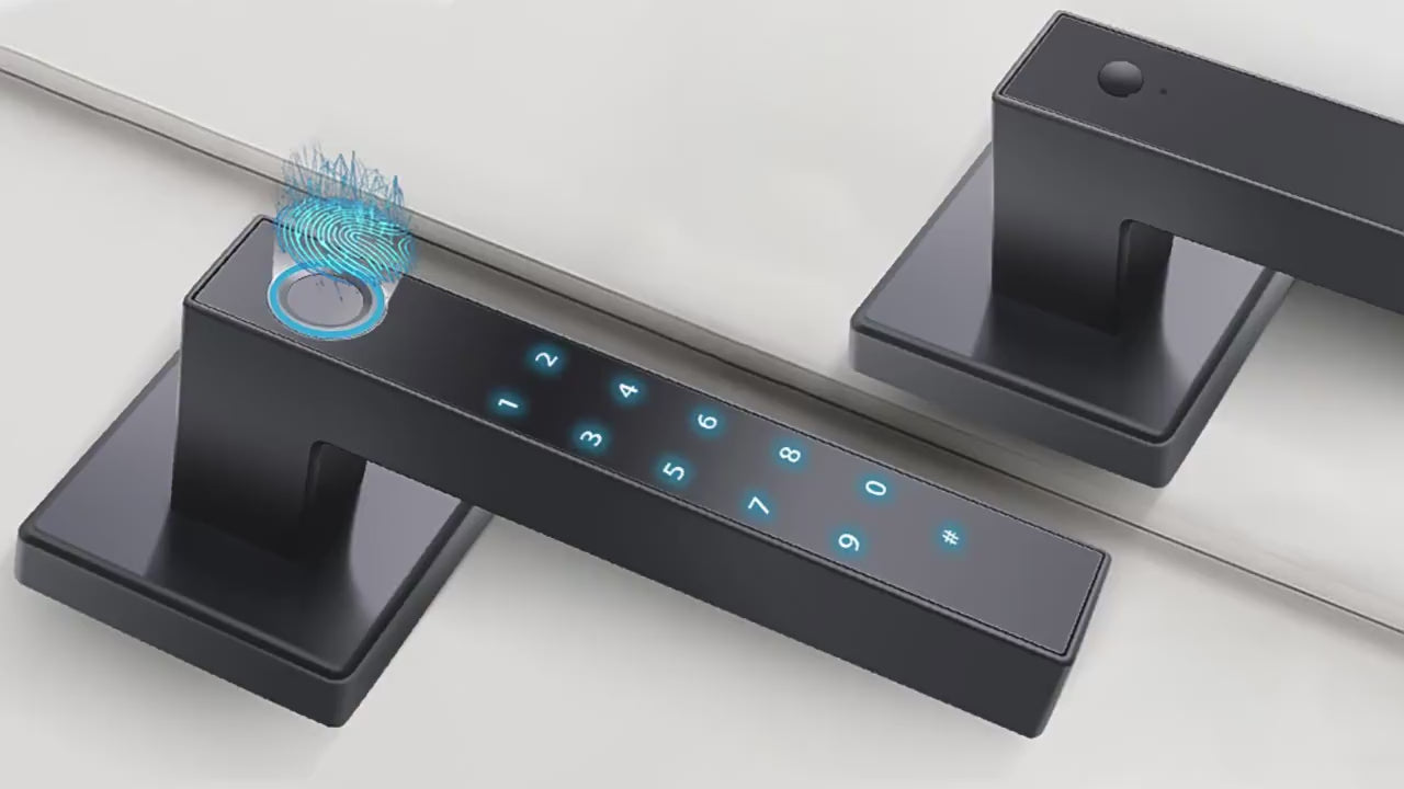 Password Fingerprint Door Lock Smart Home