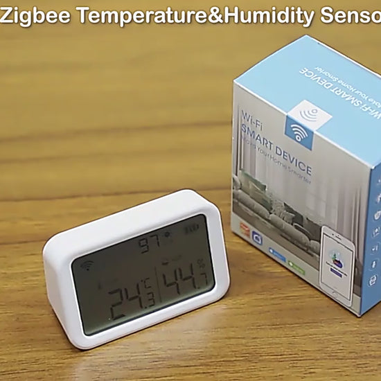 Indoor Electronic Temp Humidity Meter