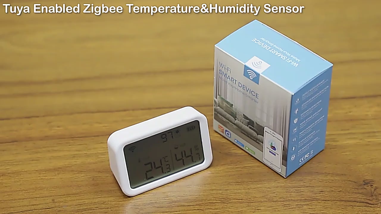Indoor Electronic Temp Humidity Meter