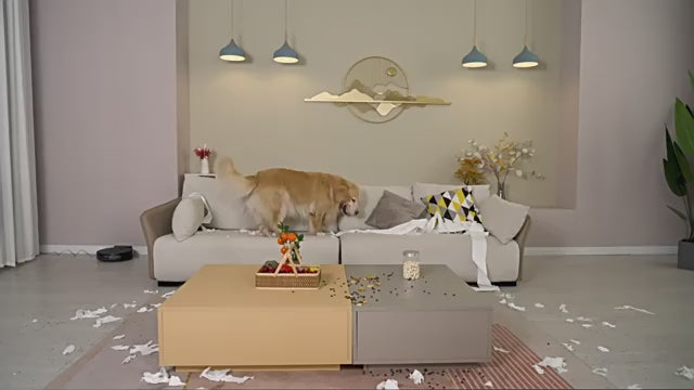 Sweeping Suction Robot Floor Cleaner